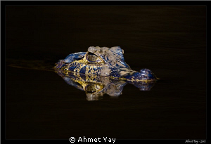 Cayman at night... by Ahmet Yay 